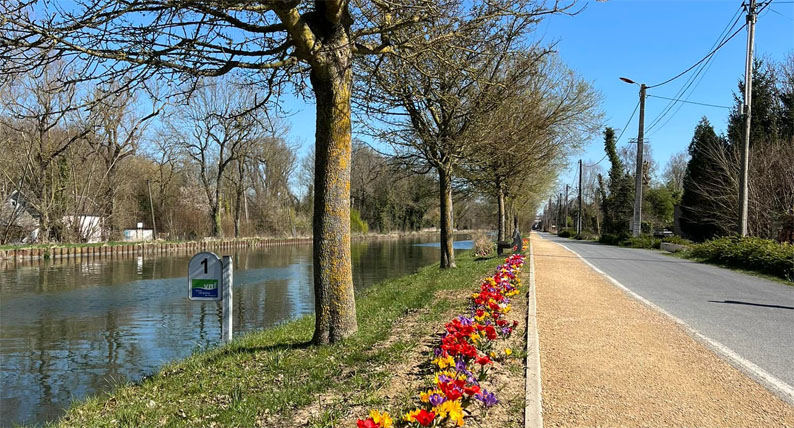 Photographie de la digue du canal à Proville