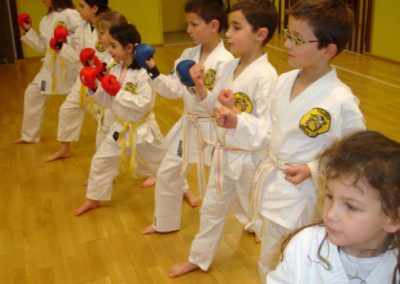 Mawashi Karate club