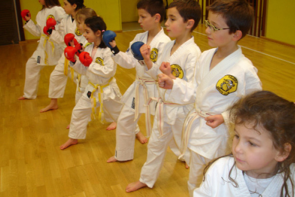 Proville-Association-Mawashi-karate-Club