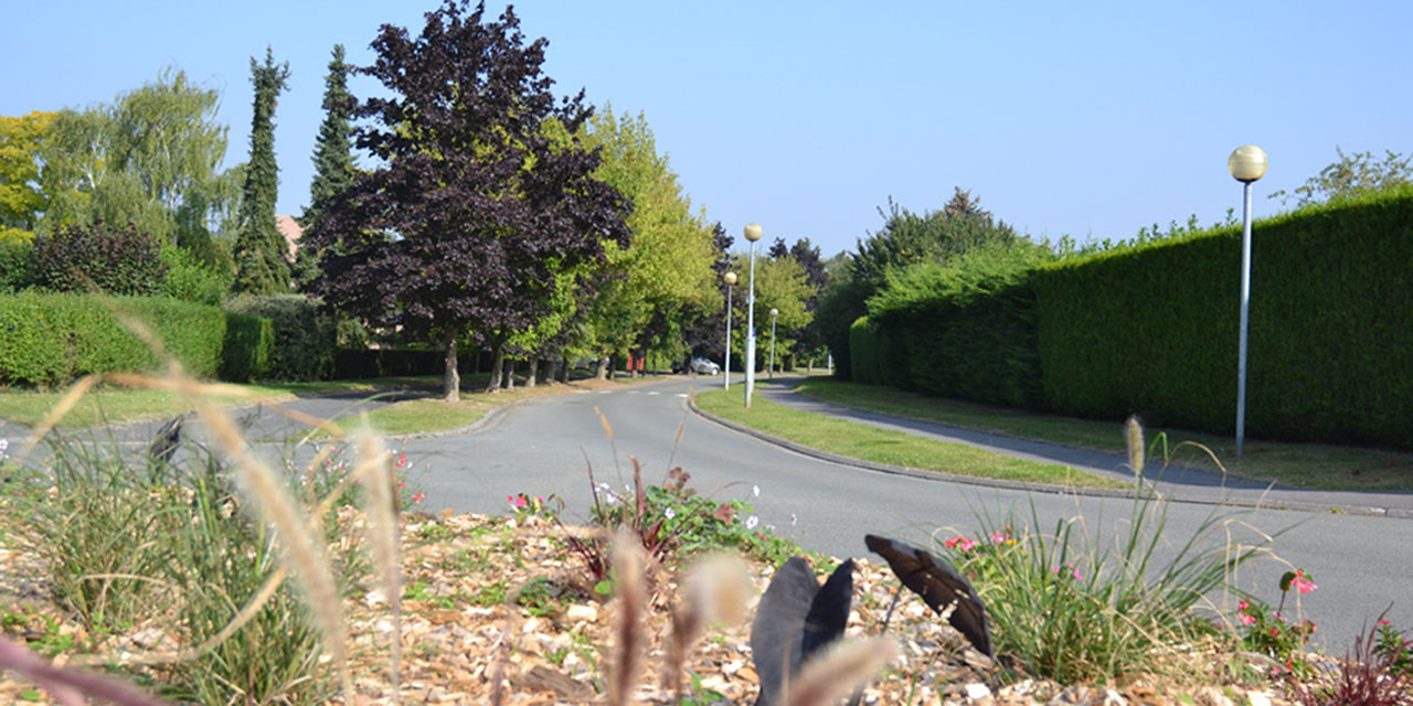 Photographie de la rue de Noyelles à Proville