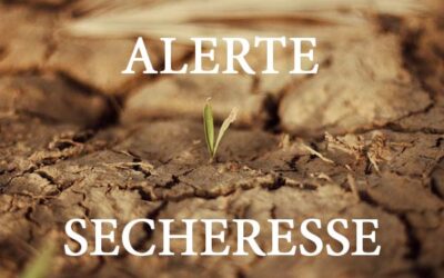 Arrêté préfectoral réglementant les usages de l’eau